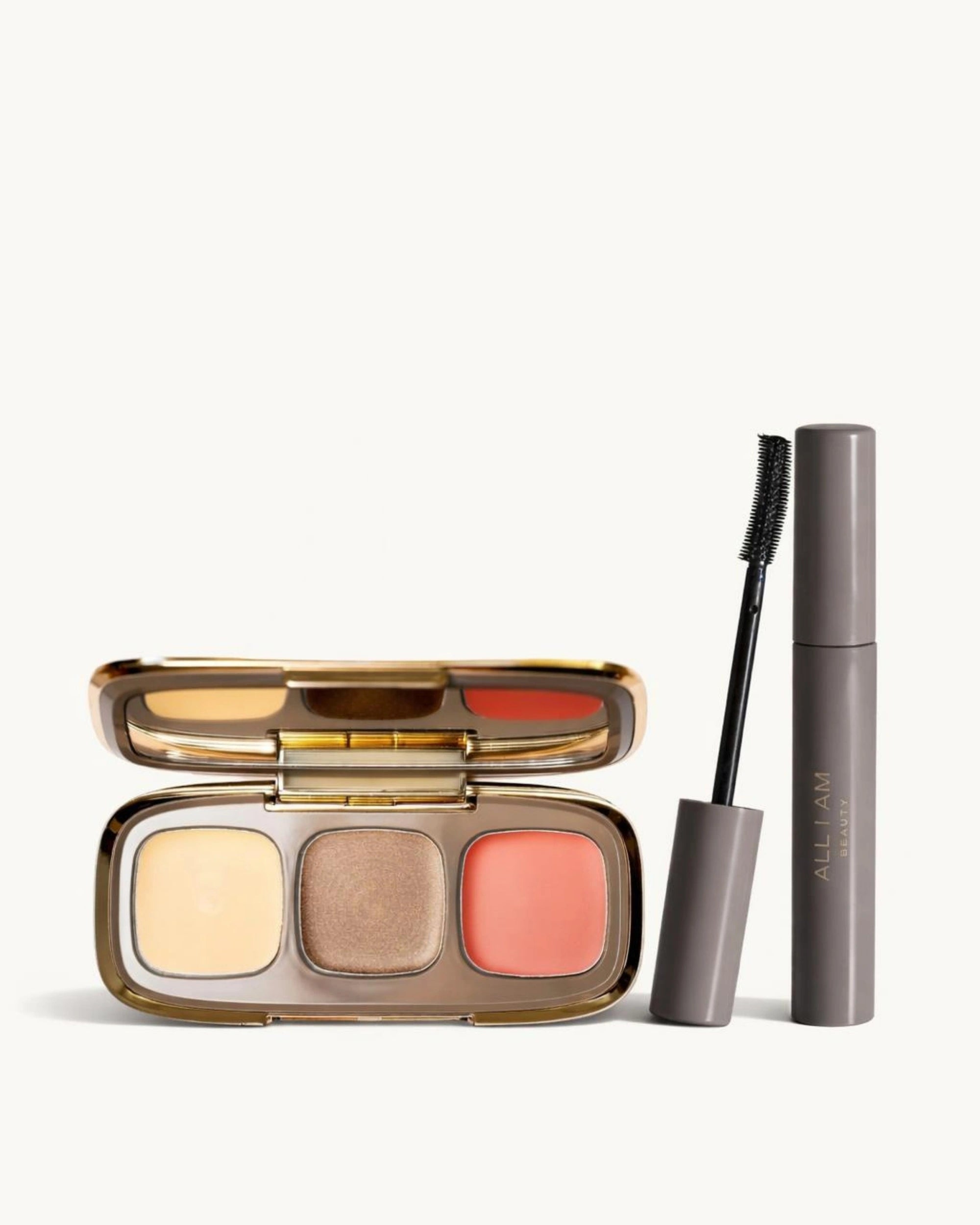 Perfect Touch-up Kit