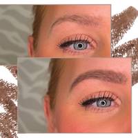 The Brow Kit - Light