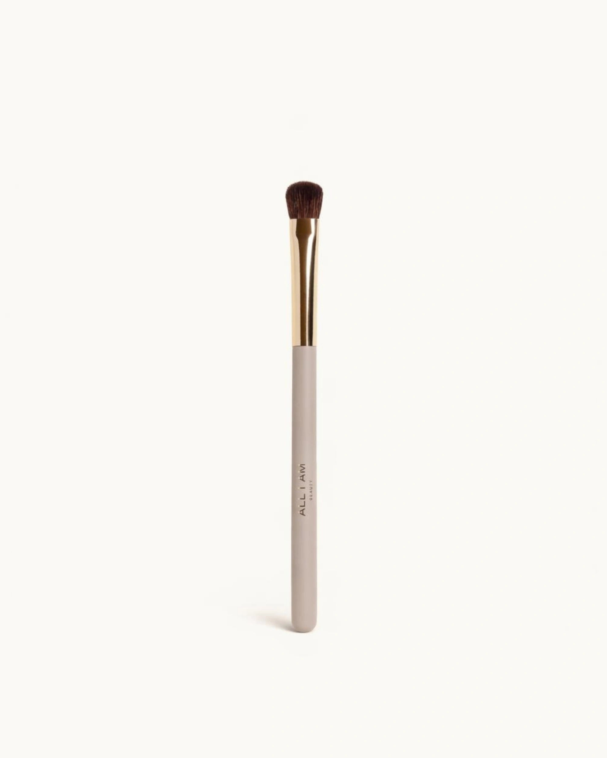 Everyday Eyeshadow Brush 210