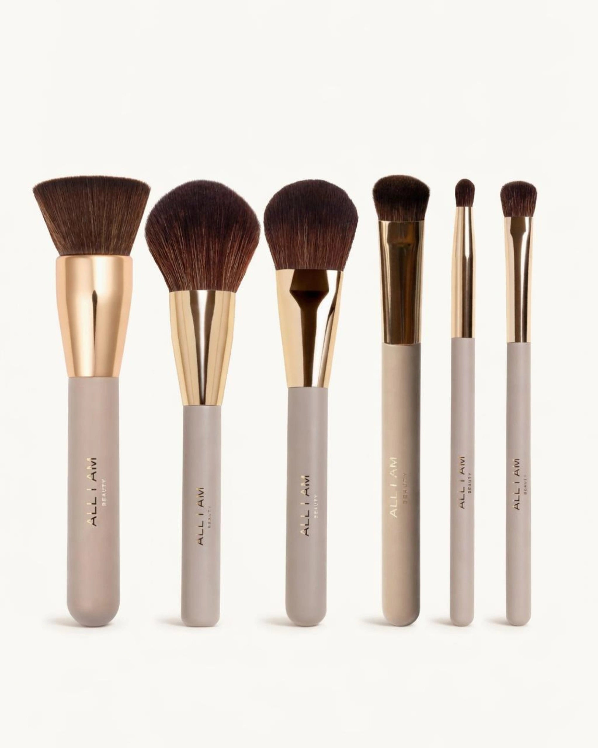 Full Face Brush Kit