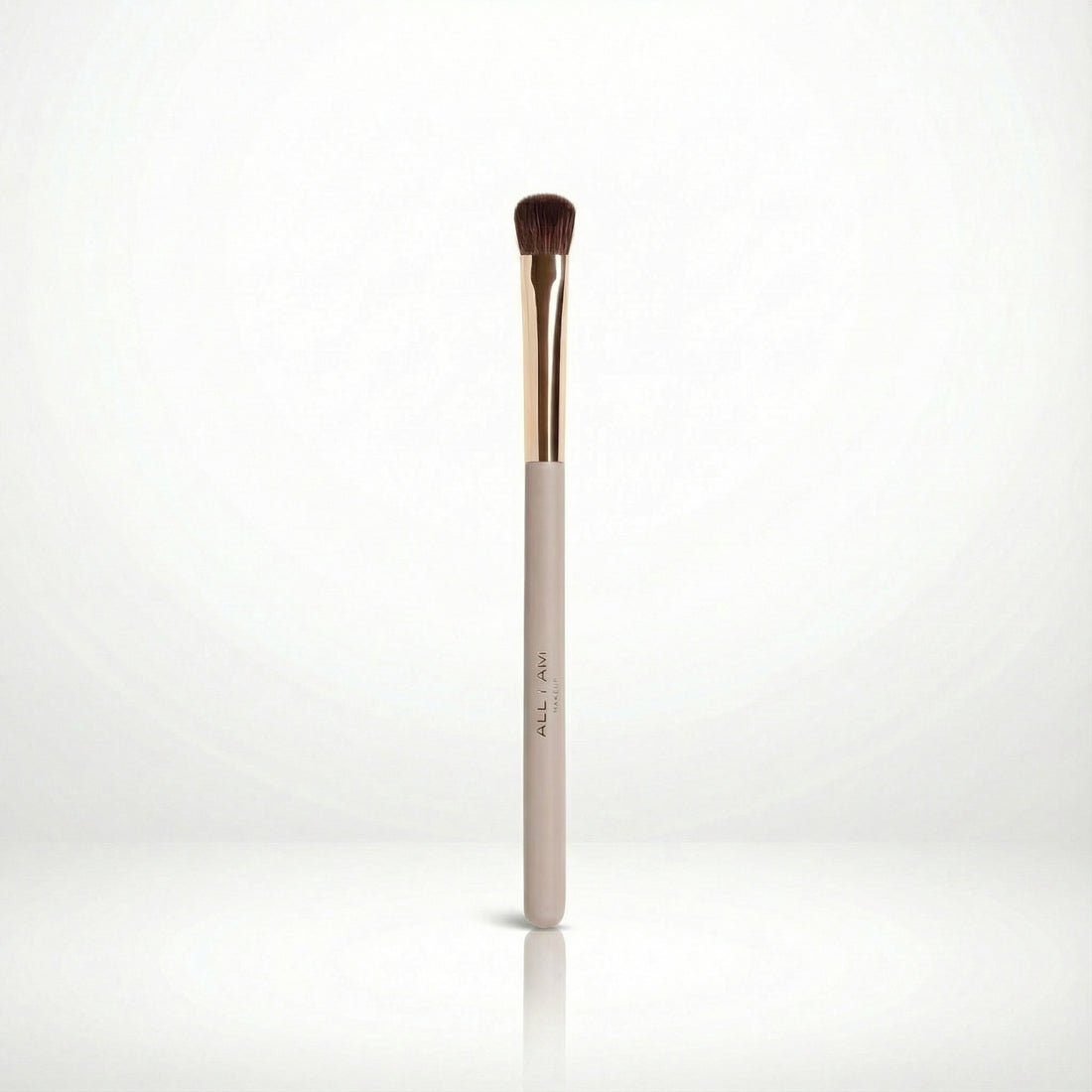 Everyday Eyeshadow Brush 210