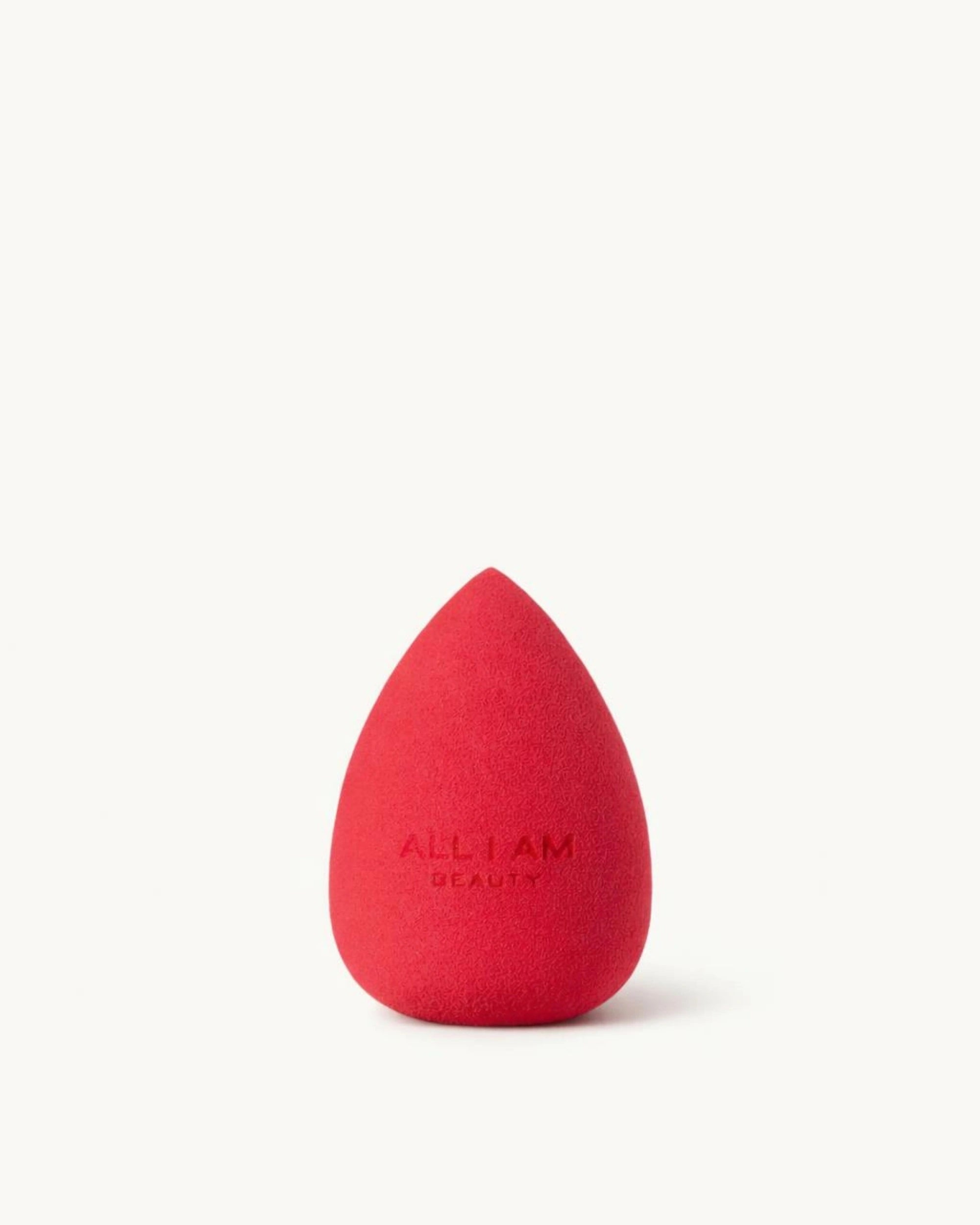 Makeup Sponge 01