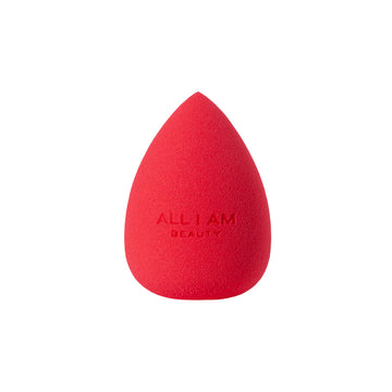 Makeup Sponge 01
